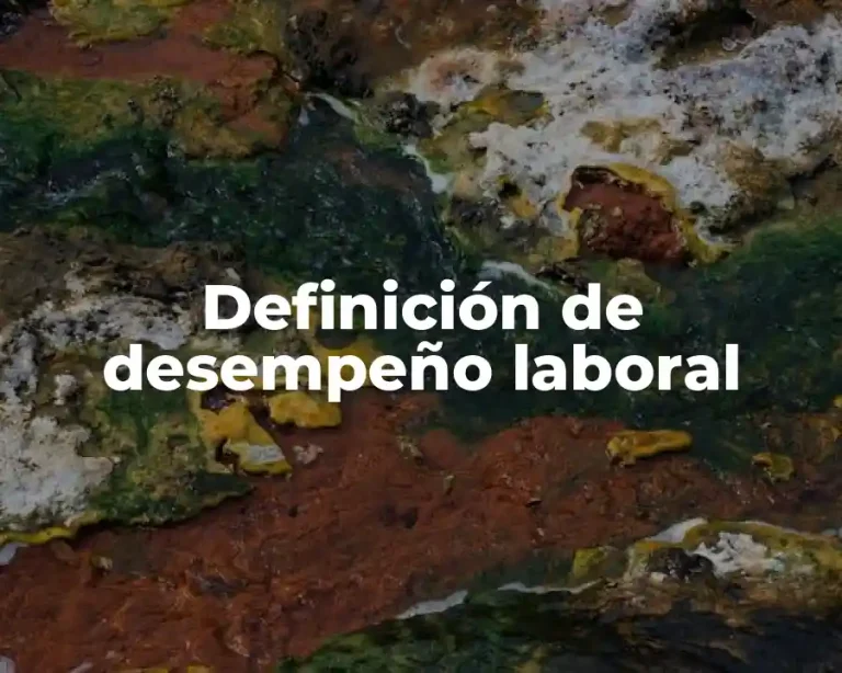 Definición de desempeño laboral