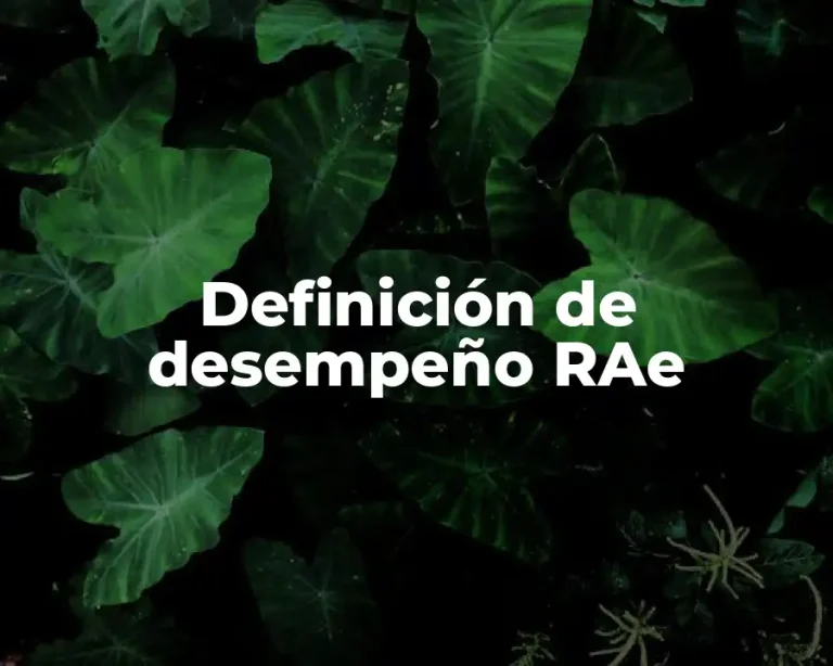 Definición de desempeño RAe