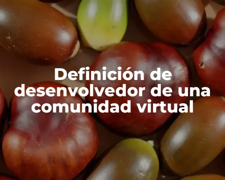 Definición de desenvolvedor de una comunidad virtual