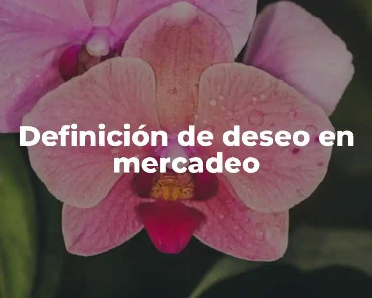 Definición de deseo en mercadeo