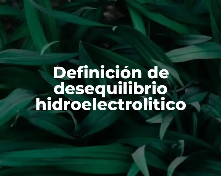 Definición de desequilibrio hidroelectrolitico