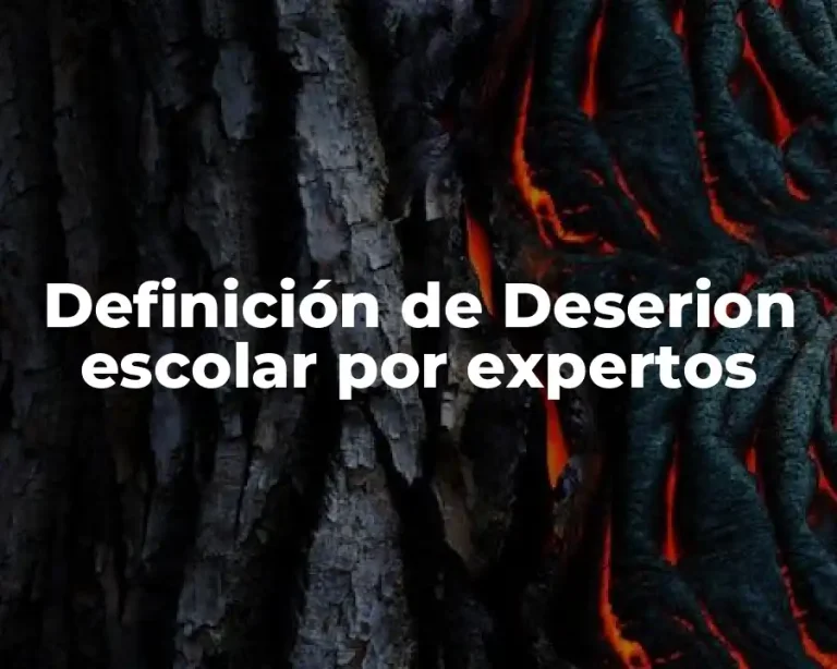 Definición de Deserion escolar por expertos