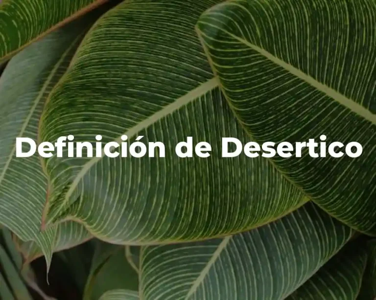 Definición de Desertico