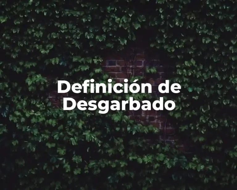 Definición de Desgarbado