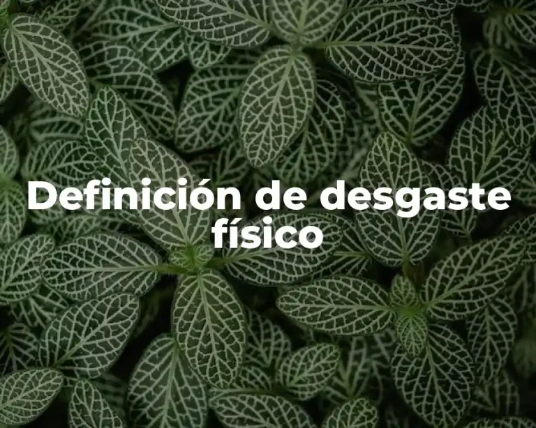 Definición de desgaste físico
