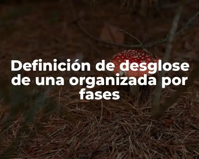Definición de desglose de una organizada por fases