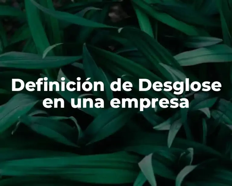 Definición de Desglose en una empresa