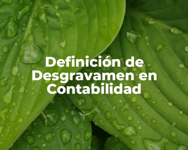Definición de Desgravamen en Contabilidad