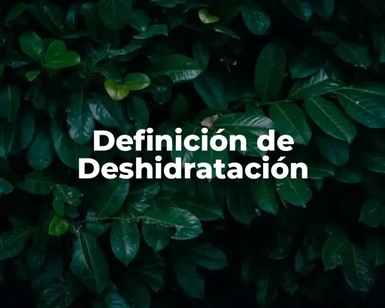 Definición de Deshidratación