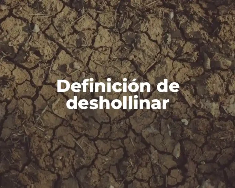 Definición de deshollinar