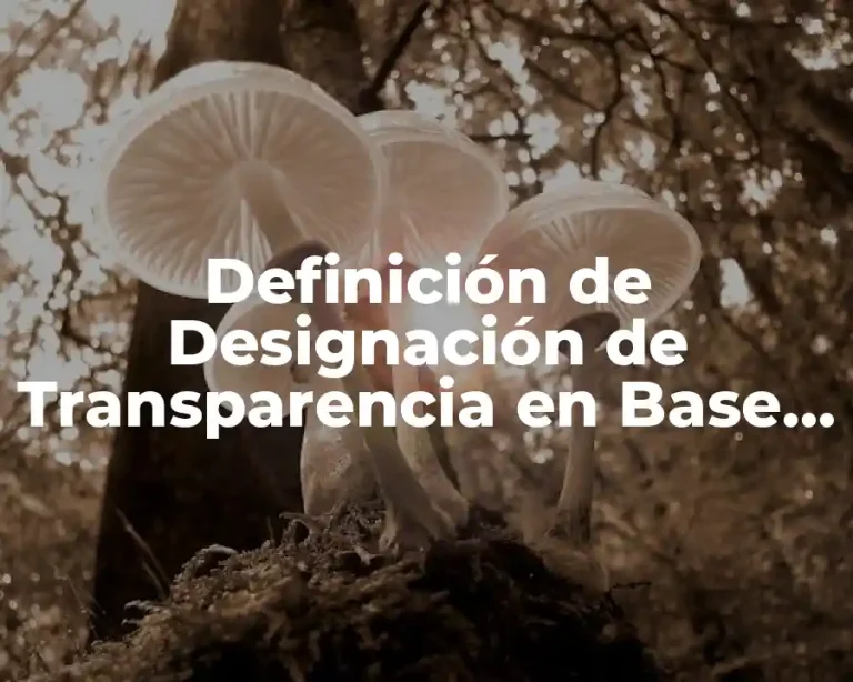 Definición de Designación de Transparencia en Base de Datos