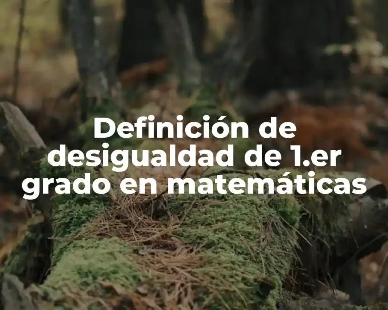 Definición de desigualdad de 1.er grado en matemáticas