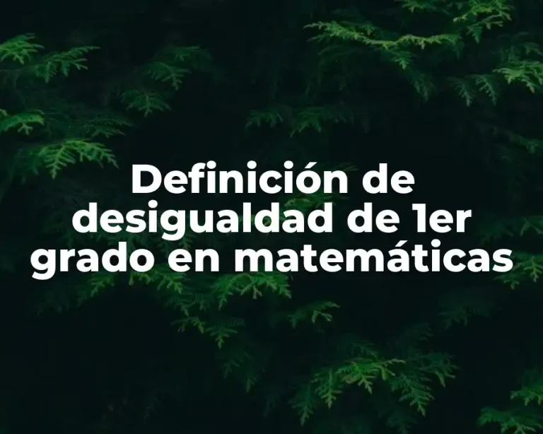 Definición de desigualdad de 1er grado en matemáticas