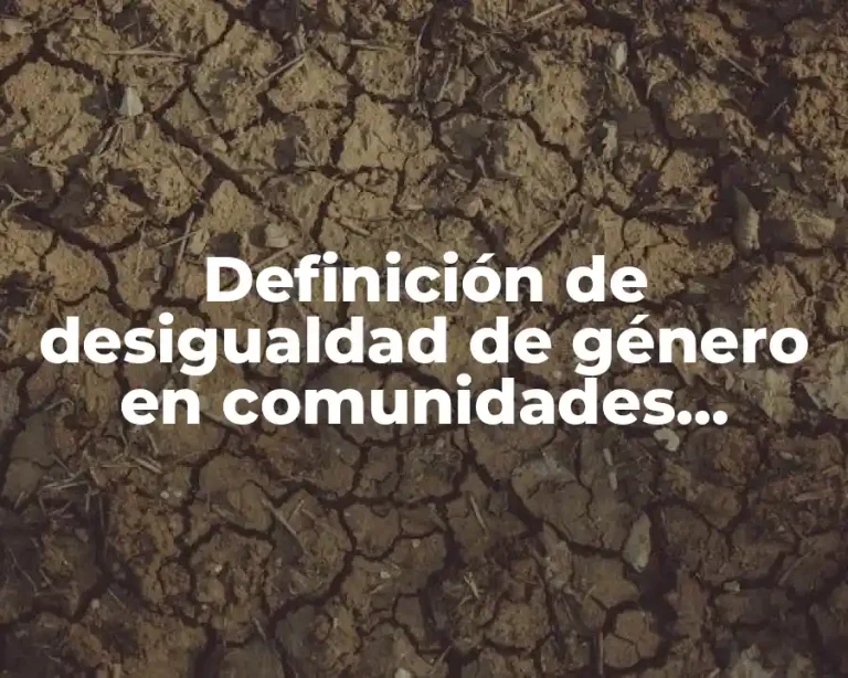 Definición de desigualdad de género en comunidades indígenas