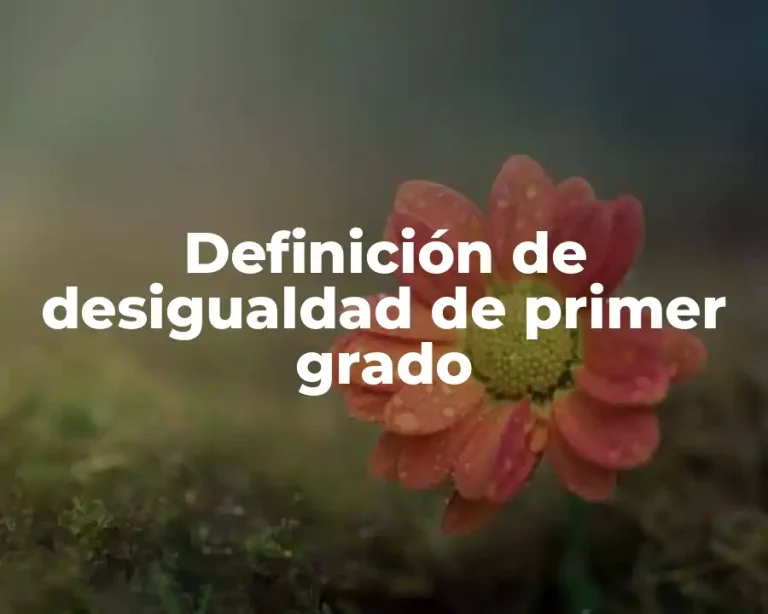 Definición de desigualdad de primer grado