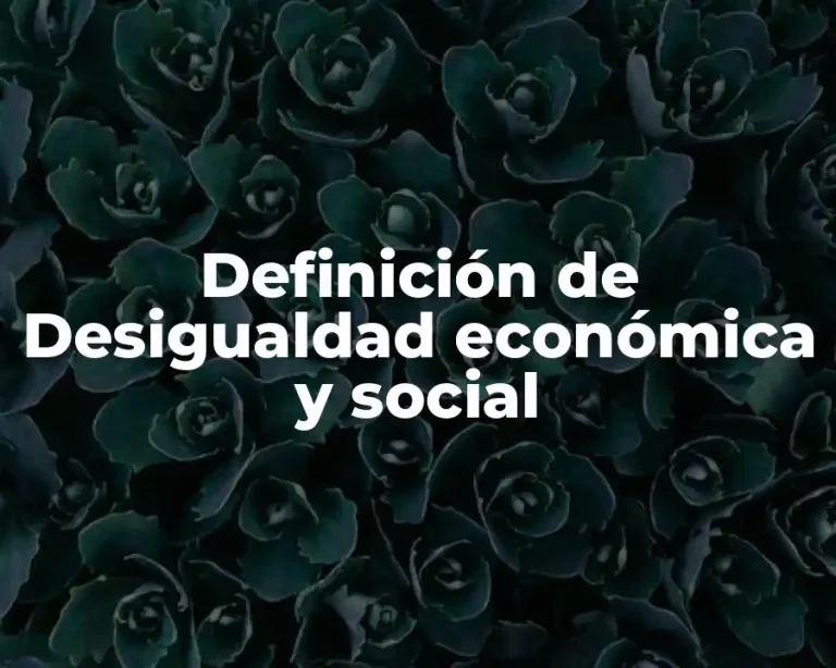 Definición de Desigualdad económica y social