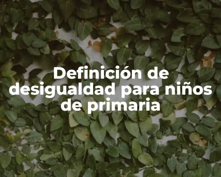 Definición de desigualdad para niños de primaria
