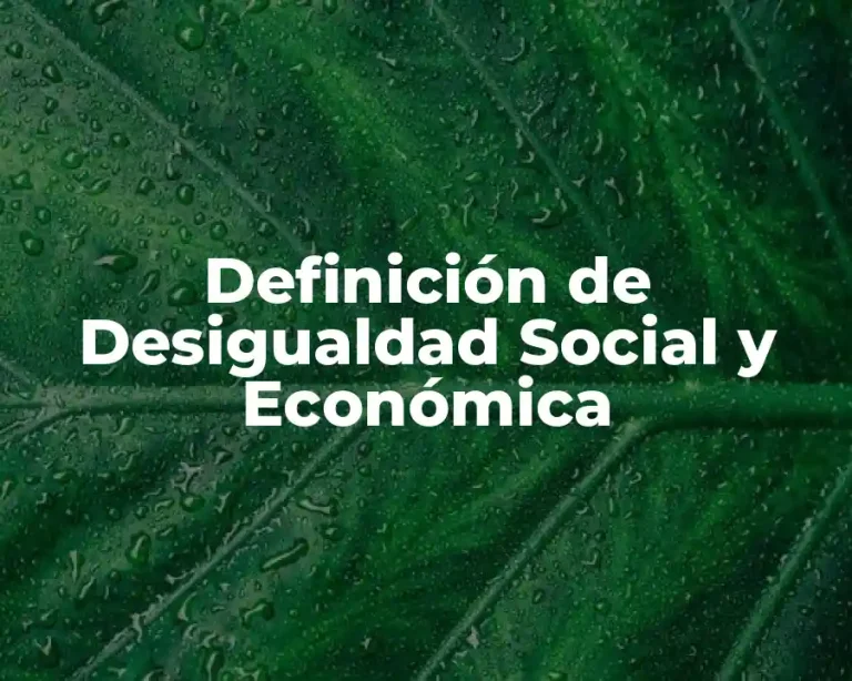 Definición de Desigualdad Social y Económica