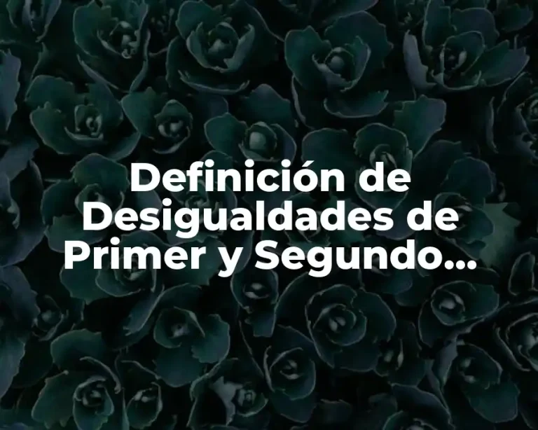 Definición de Desigualdades de Primer y Segundo Grado