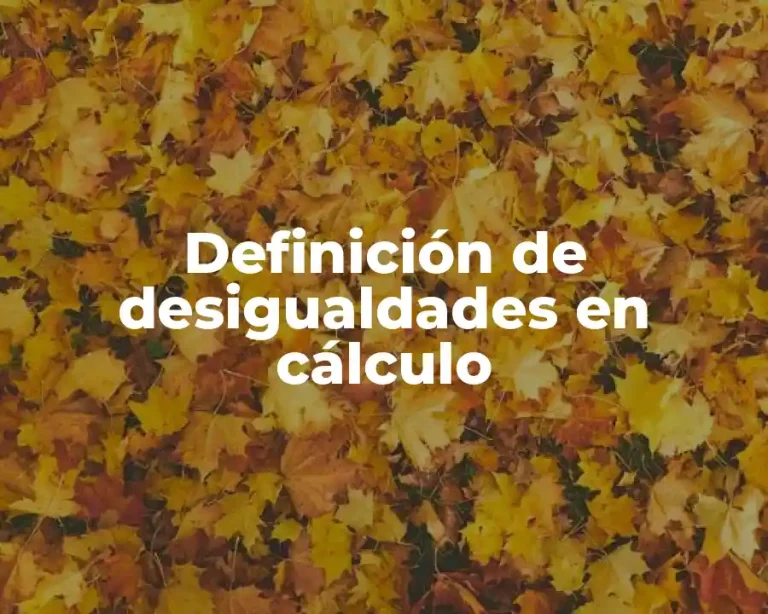 Definición de desigualdades en cálculo