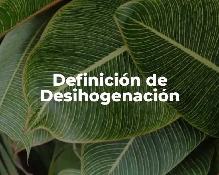 Definición de Desihogenación