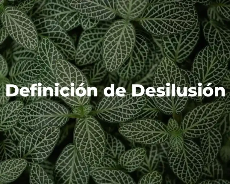 Definición de Desilusión