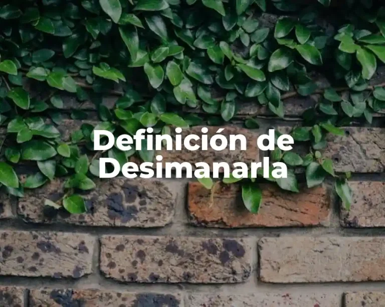 Definición de Desimanarla
