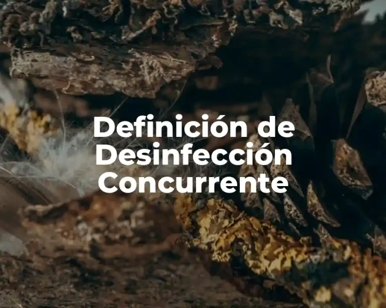 Definición de Desinfección Concurrente