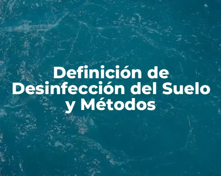 Definición de Desinfección del Suelo y Métodos