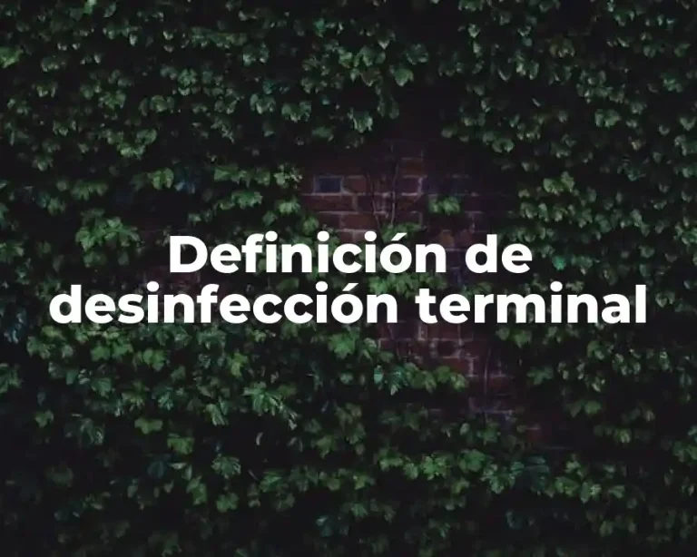 Definición de desinfección terminal