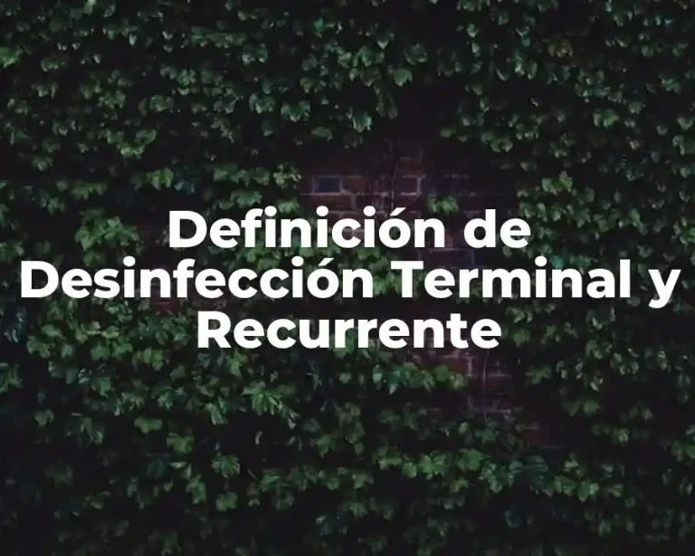 Definición de Desinfección Terminal y Recurrente