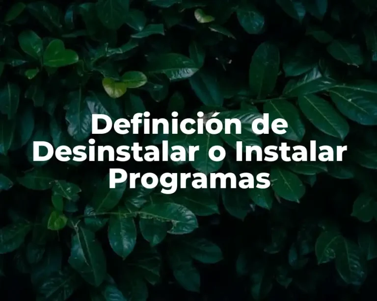 Definición de Desinstalar o Instalar Programas