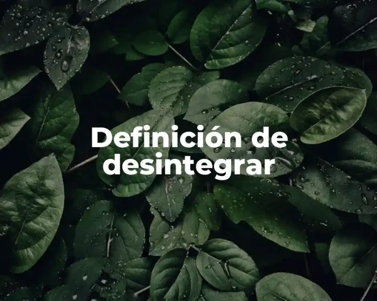 Definición de desintegrar