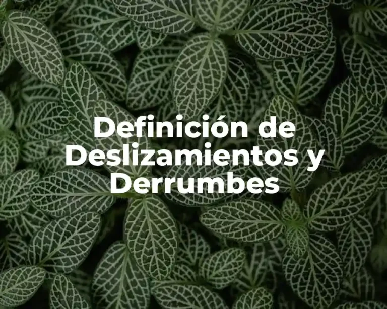 Definición de Deslizamientos y Derrumbes