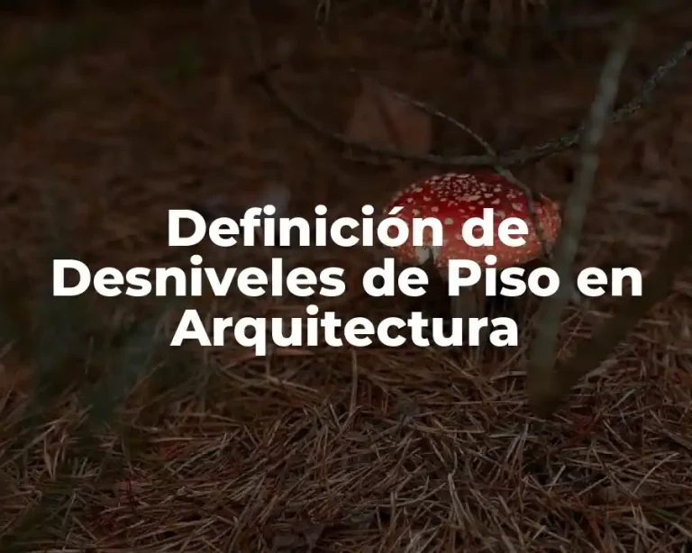 Definición de Desniveles de Piso en Arquitectura