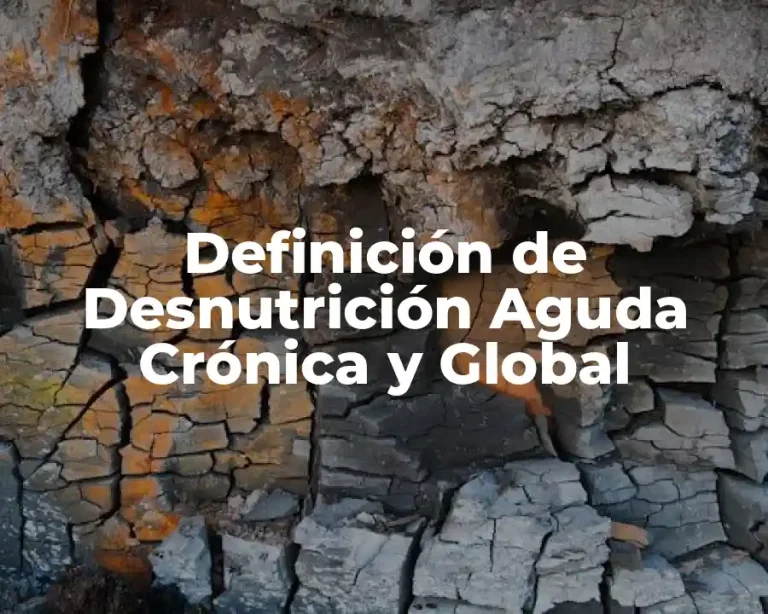 Definición de Desnutrición Aguda Crónica y Global