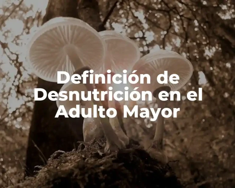 Definición de Desnutrición en el Adulto Mayor