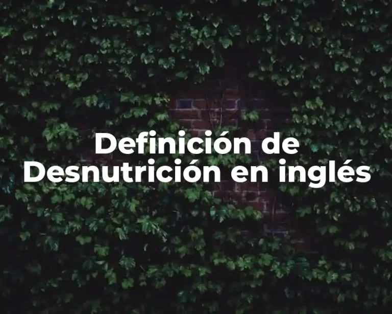 Definición de Desnutrición en inglés