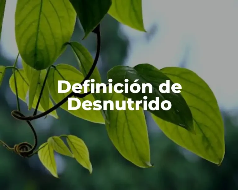 Definición de Desnutrido