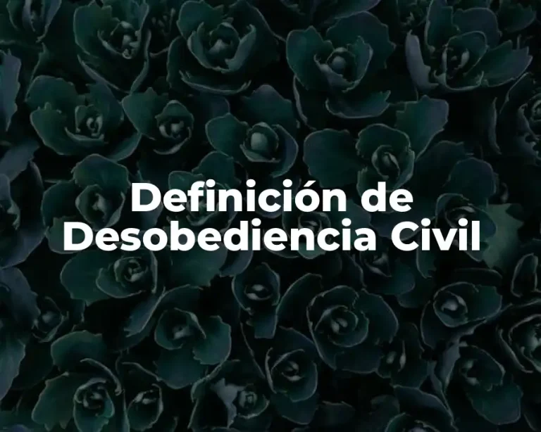 Definición de Desobediencia Civil