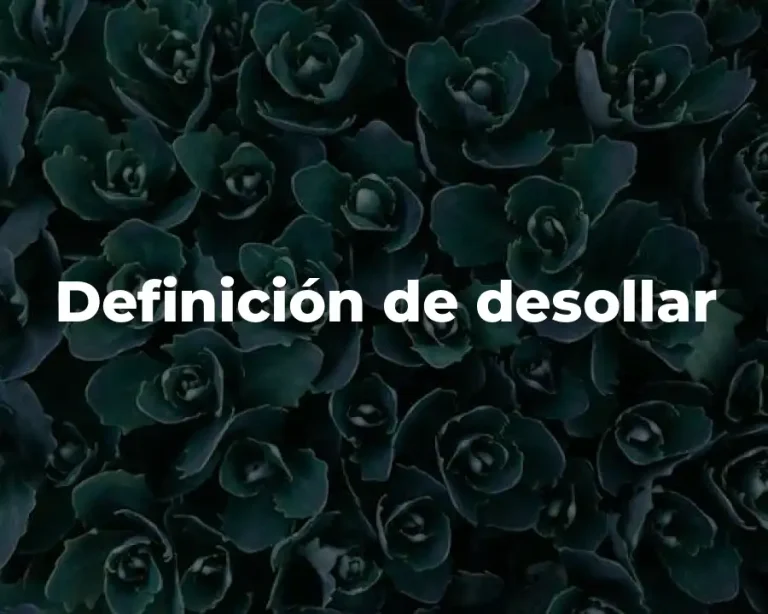 Definición de desollar