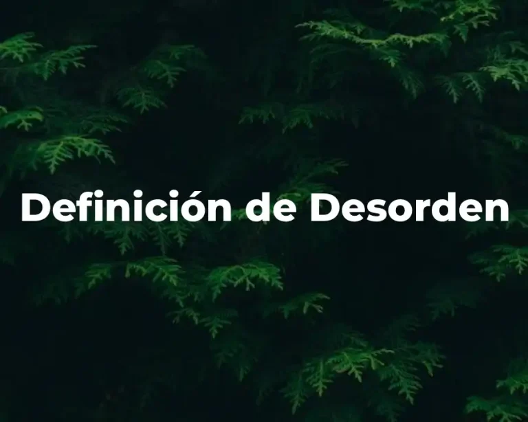 Definición de Desorden