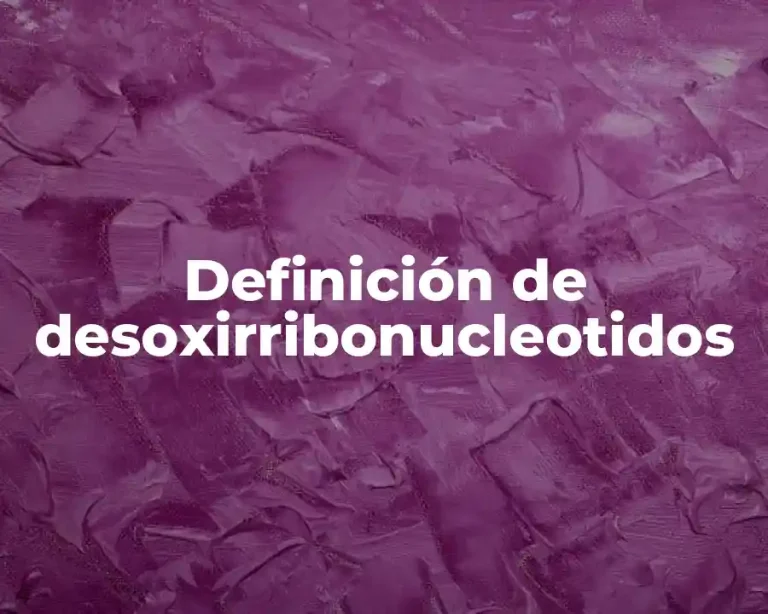 Definición de desoxirribonucleotidos