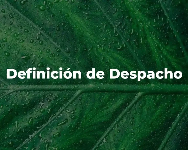 Definición de Despacho
