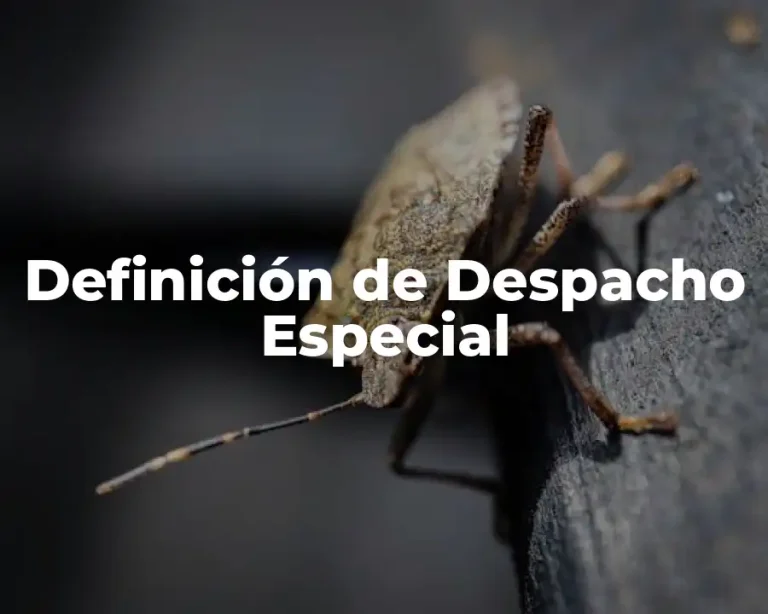 Definición de Despacho Especial