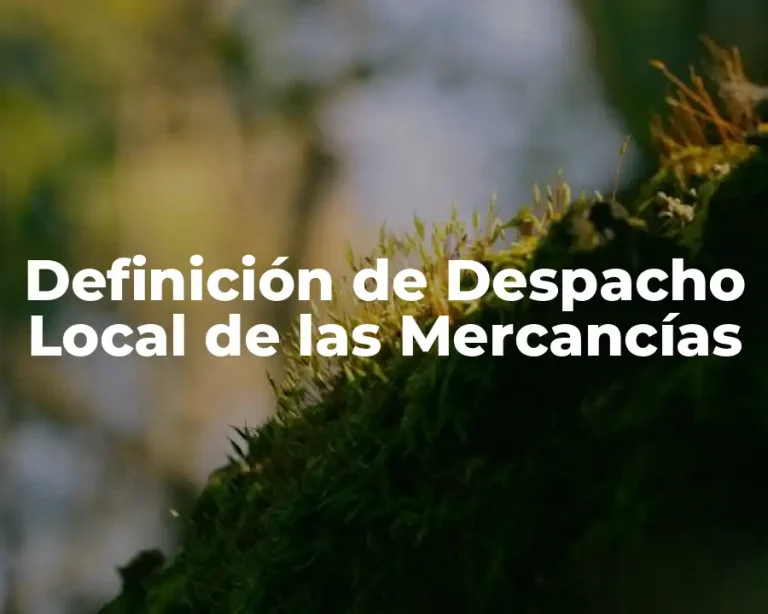 Definición de Despacho Local de las Mercancías