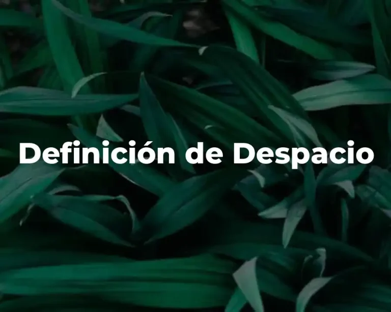 Definición de Despacio