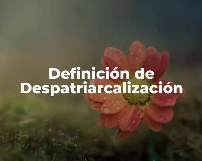 Definición de Despatriarcalización