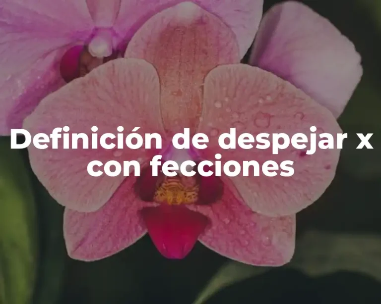 Definición de despejar x con fecciones
