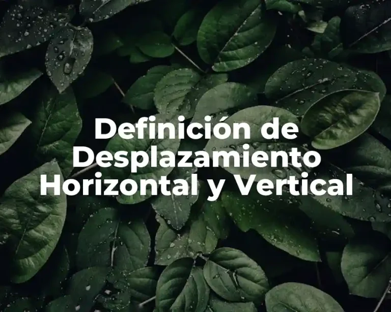 Definición de Desplazamiento Horizontal y Vertical